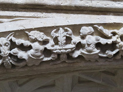 cathedral exeter (337)
