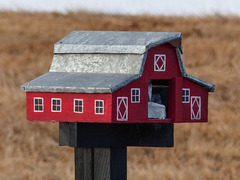 Barn-shaped mailbox