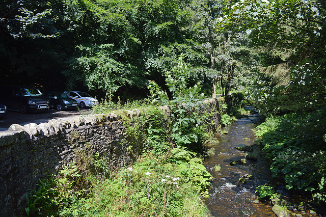 Clough Brook 1