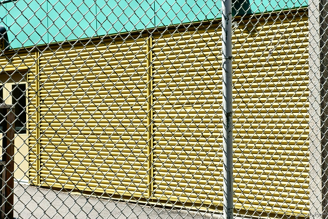 Happy Fence Friday 3