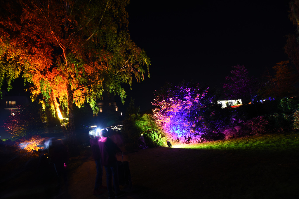 Herbstleuchten im Inselpark Wilhelmsburg