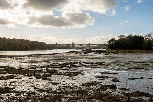 Britannia bridge3