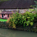 Au bord du Loir à Bonneval .