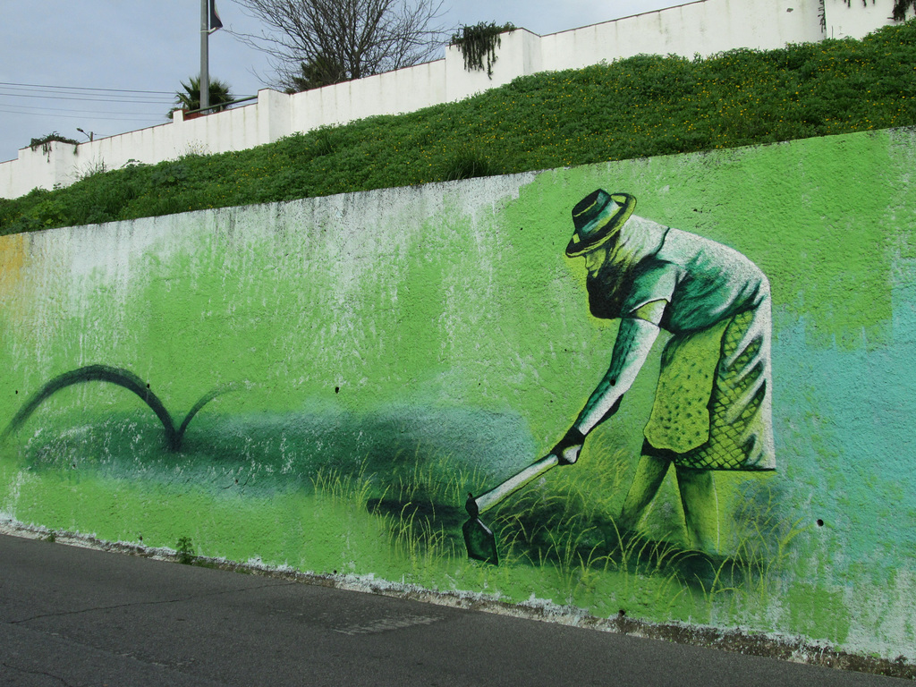 Work on rice field.