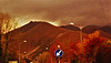 autumn-colours-in-the-setting-sun 49027871518 o