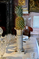 Paleis Het Loo 2018 – Pineapple