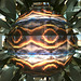 Kaleidoskop auf dem Säntis