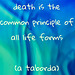a morte é o princípio comum de todas as formas de vida