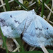 P5190068