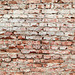 Texture - Brick Wall 1