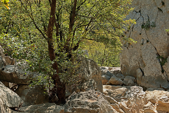 Nationalpark Paklenica - Abzweigung Anica kuk (2)