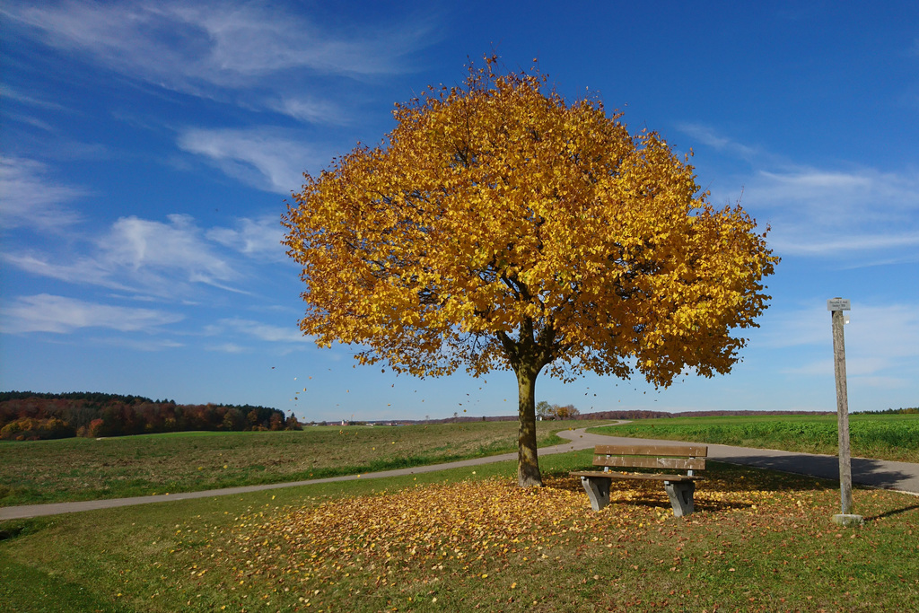 Goldener Oktober