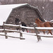 January 2009 snowy day