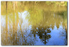 reflet printanier