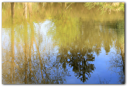 reflet printanier