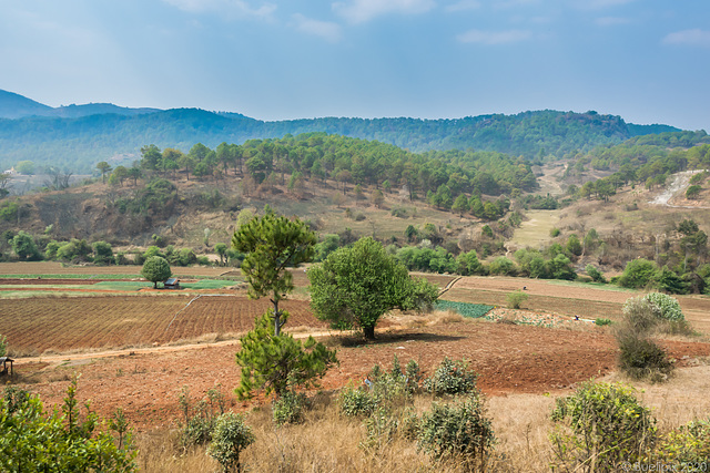 Eisenbahnfahrt von Kalaw nach Shwe Nyaung (© Buelipix)