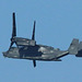 EOS 90D Peter Harriman 18 54 17 31872 Osprey dpp