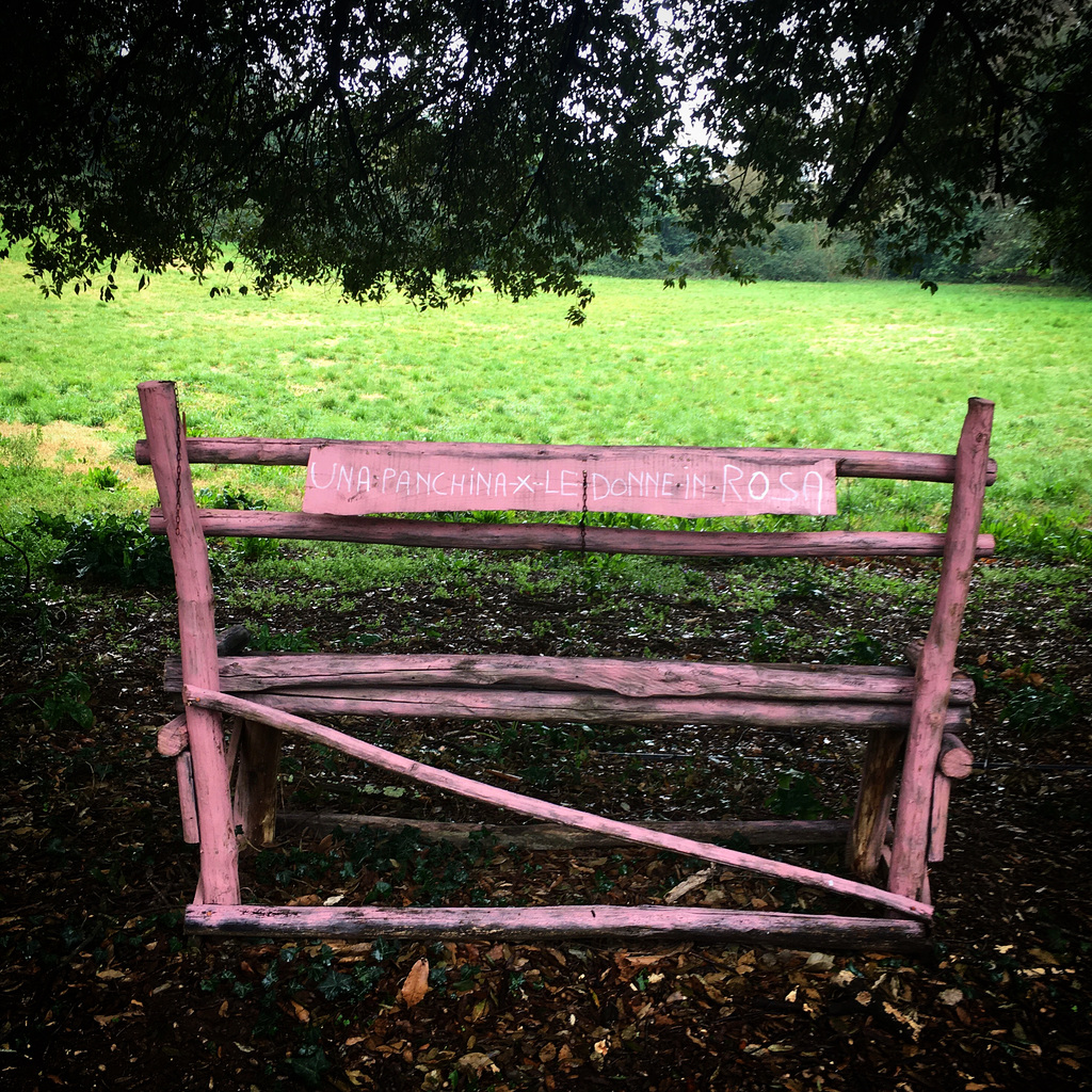 UNA PANCHINA x LE DONNE IN ROSA.