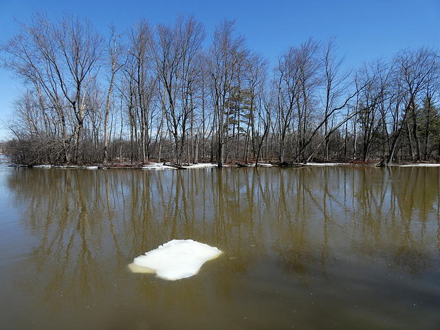 iceberg