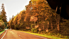autumn-roads