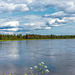Am Kalixälven