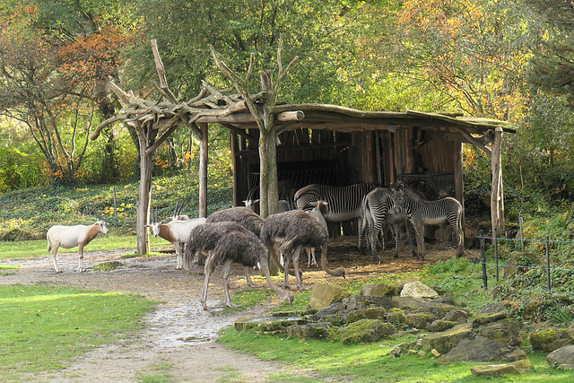 Einträchtig nebeneinander...