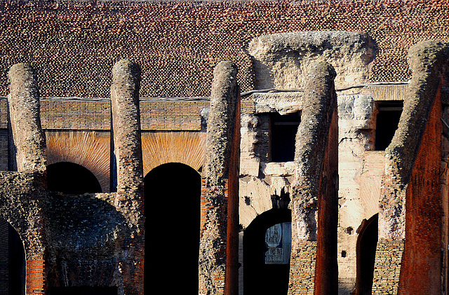 Steingerippe im Coloseo