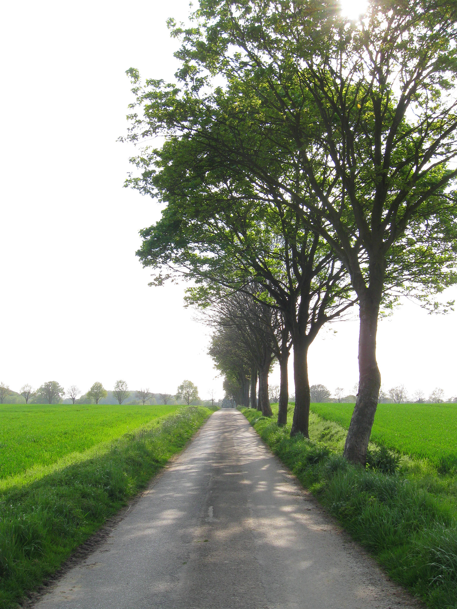 Wochenende und Sonnenschein...