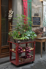 Outside a cafe in Pistoia, Tuscany