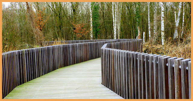 Wooden Fence   -HFF- 24-3-2023