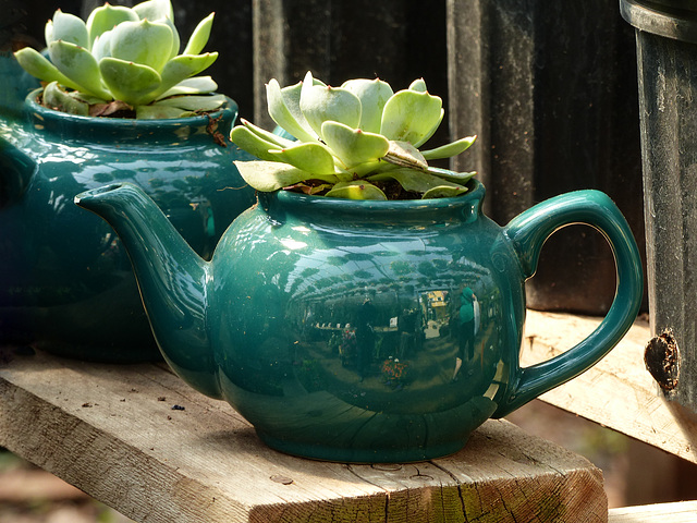 Teapot reflections