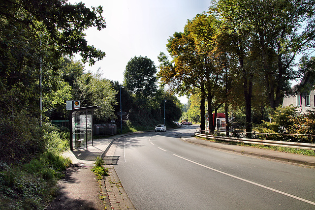 Bürenbrucher Weg (Schwerte-Ergste) / 9.09.2023