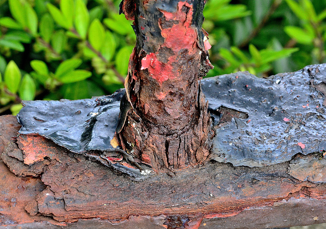 Rusty Railings