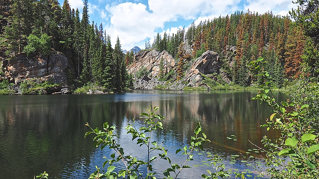 Yellowhead Pass