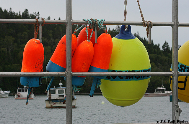 Bright Buoys