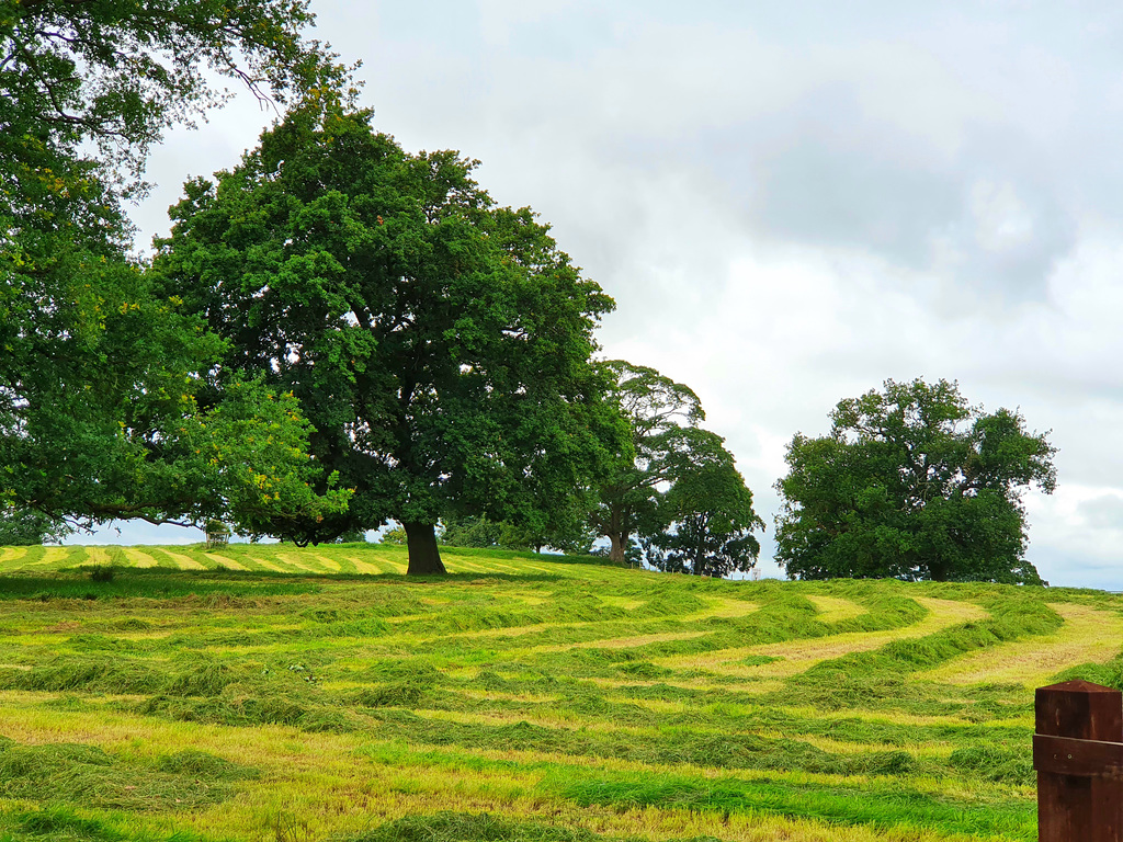 Fields at Milford