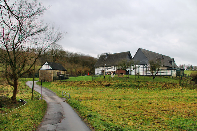 Haarstraße (Bochum-Querenburg) / 7.12.2019