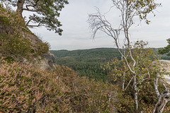 Blick nach Nord-Osten über den Koppelsgrund