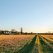 Feldweg nahe dem Bergwerksgelände (Rheinberg) / 21.02.2021