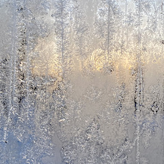 Frost at the bus stop