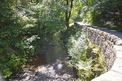 Clough Brook 2