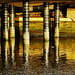 Under The Bridge. Above The Water.Under. Gold And Beyond