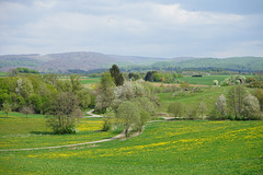 Harzblick in der Frühlingssonne