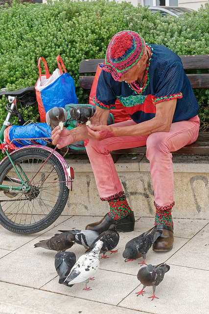 L'homme qui aimait le rouge et les pigeons