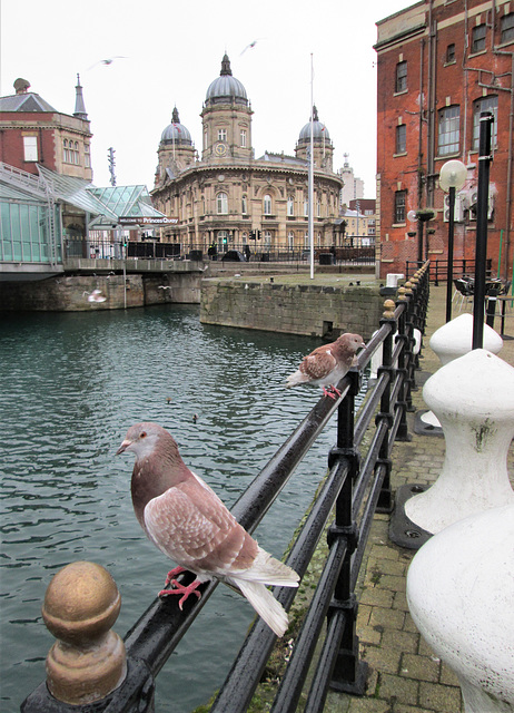 Hull Maritime Museum from Princes Quay.