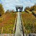 Treppe von der Zeche Ewald zur Halde Hoheward (Herten) / 15.10.2018