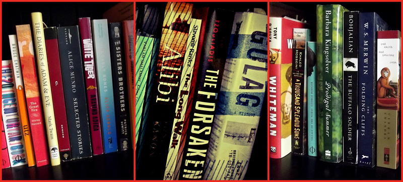 Bookshelf chaos