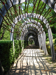 en avant arches !