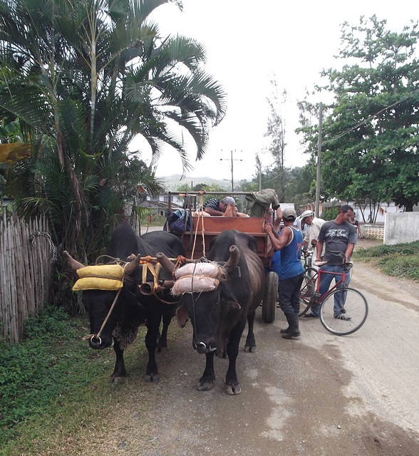 Transport insolite et contemporain