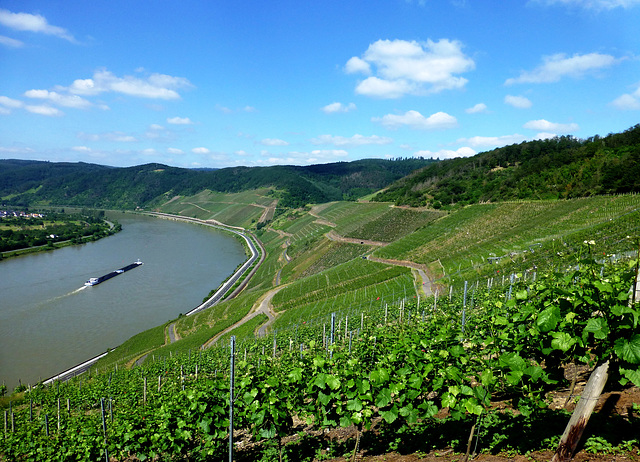 DE - Boppard - Am Bopparder Hamm